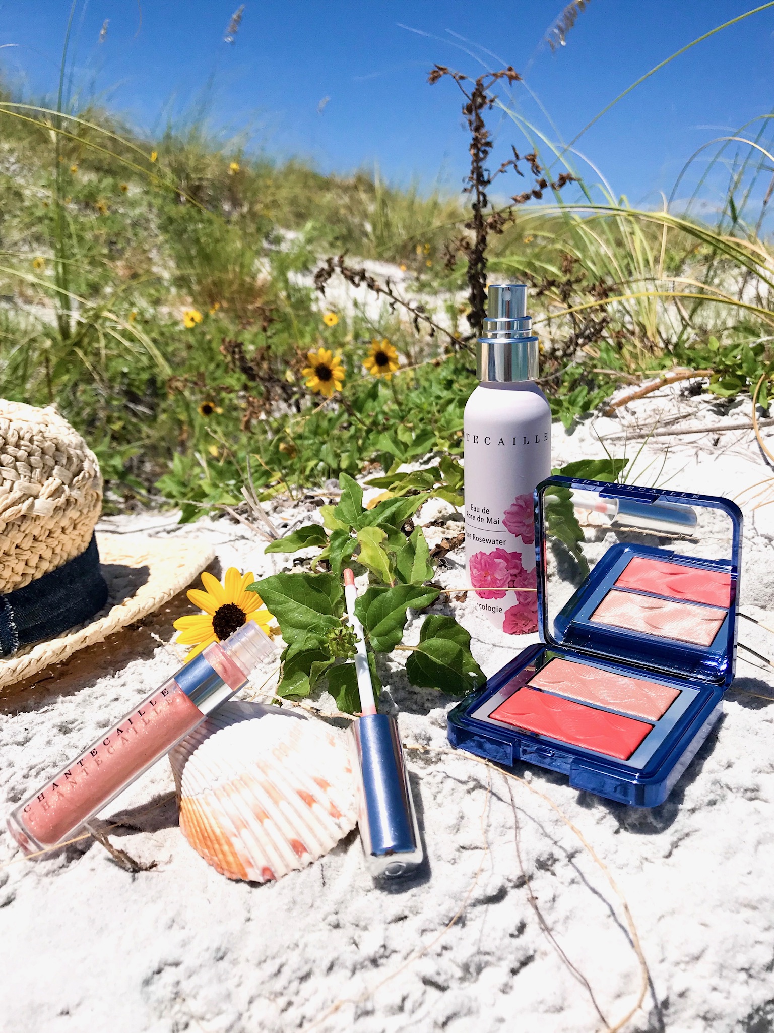 Chantecaille Summer Sale: What I Bought - Cat's Daily Living
